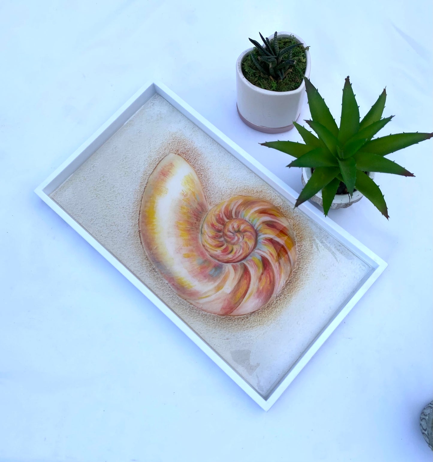 Seashell serving tray