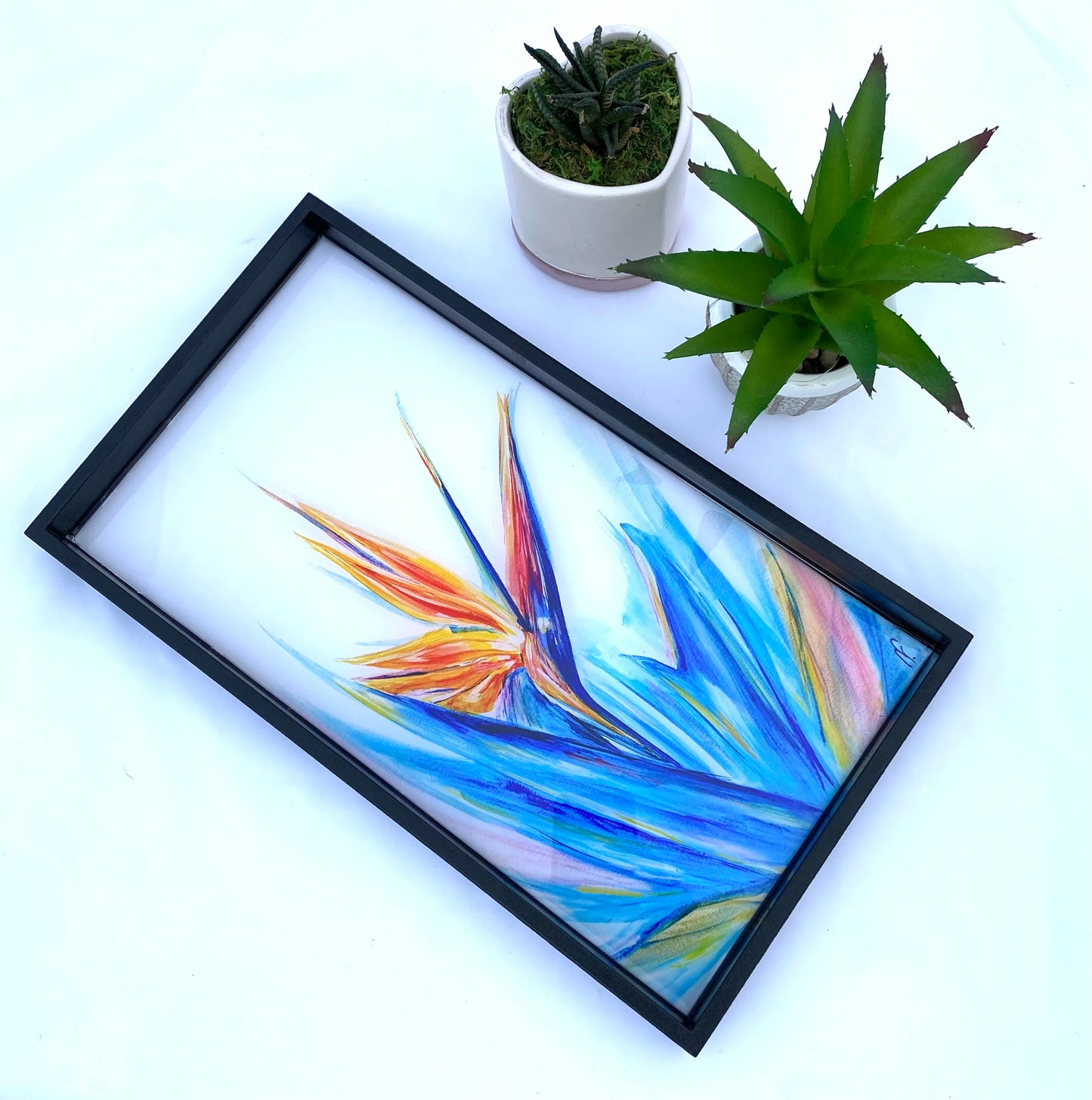 Tropical Bird of paradise tray