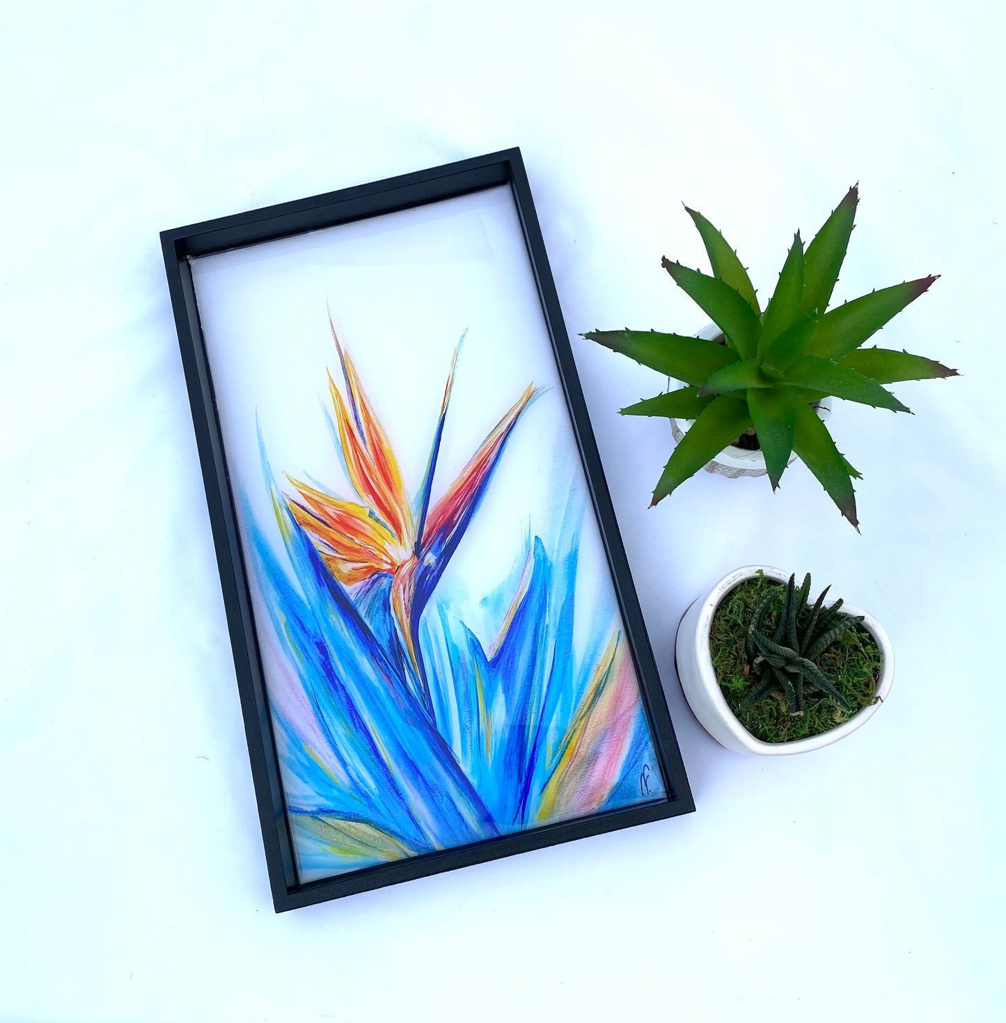 Tropical Bird of paradise tray